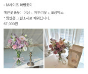 기젤리안플라워