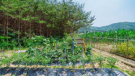 마이프렌드펜션