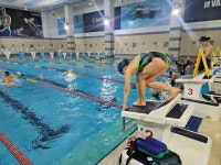 엠스타휘트니스