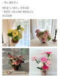 기젤리안플라워
