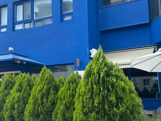 몬테커피