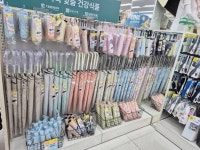 다이소 전주평화사거리점