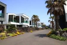 다온대정시크릿 풀빌라