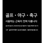 VIP골프아카데미
