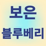 보은 속리산 블루베리 농장
