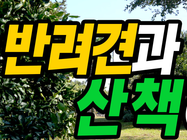 국수인가갈치인가 성산본점