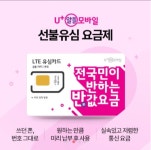 울산 선불폰알뜰유심휴대폰,인터넷가입 동구 홈플러스점