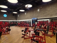 자마이카 피트니스 강남뱅뱅점