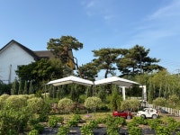 오르엘크리스탈카페