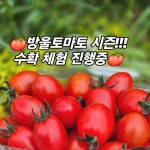 행복한농장