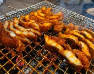 원조산호아나고