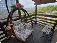 제너두파크 아네모네