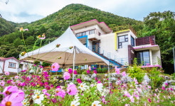 이요재