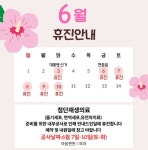 마음편한유외과의원
