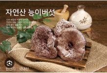 미래농산