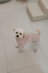 쥬뗌몽슈