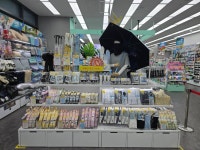 다이소 고양화정2호점