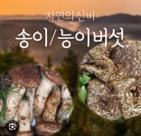 미래농산