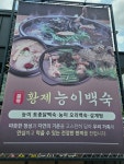 황제능이백숙