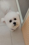 쥬뗌몽슈