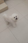 쥬뗌몽슈