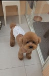쥬뗌몽슈