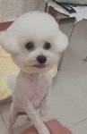 쥬뗌몽슈