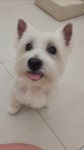 쥬뗌몽슈