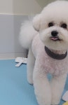 쥬뗌몽슈
