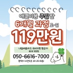 네발클로버애견미용학원