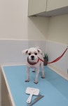 쥬뗌몽슈