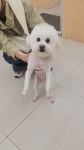 쥬뗌몽슈