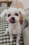 쥬뗌몽슈
