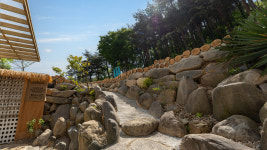 스테이하이