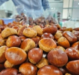 소랭이마을영농조합법인