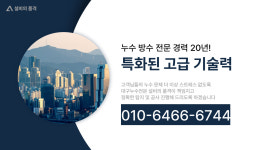 대구누수탐지공사하수구변기싱크대막힘뚫는업체설비의품격