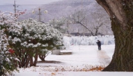 소랭이마을영농조합법인