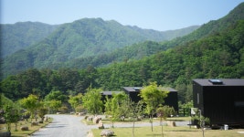 누크 글램핑&캠핑