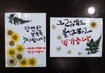 소랭이마을영농조합법인