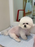 쁘띠 그루밍