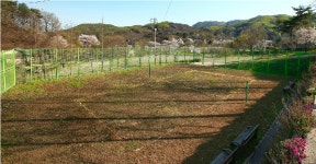 꽃내미풀꽃이랑마을