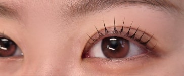 시선 속눈썹 눈썹 피부 경기광주본점