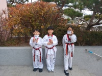 예건태권도 & 점프윙스 도안점