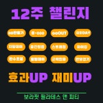 보라핏 필라테스 앤 피티