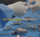 24시 서울YES동물병원