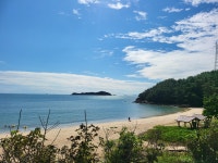 이일레민박