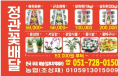 정관대리운전