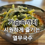느티나무집