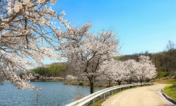 꽃내미풀꽃이랑마을