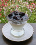 이다숲